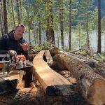 Chainsaw Milling a Curved Beam With My Granberg Mill